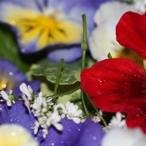 Meet your Posher, Kate